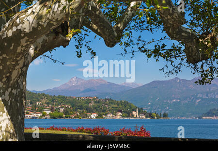 Blick von Lenno über nach Tremezzo, Comer See, Italien im April Stockfoto