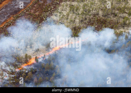 Waldbrand, Ansicht von oben Stockfoto