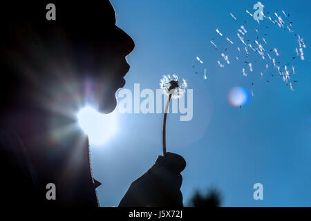 Silhouette einer schönen Frau bläst Löwenzahn Stockfoto