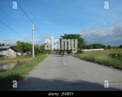 Dieses Bild bezieht sich auf die Reisfelder entlang der Salapungan Road in der Magumbali-Gegend von Candaba, Pampanga, Philippinen. Die Felder sind Teil der landwirtschaftlichen Landschaft der Region und sind integraler Bestandteil der lokalen landwirtschaftlichen Praxis. Stockfoto