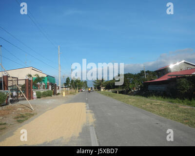 04682 Paddy Felder Salapungan Straßen Magumbali an Pampanga 19 Stockfoto