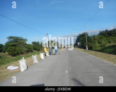 Dieser Titel bezieht sich auf eine Szene auf den Philippinen, insbesondere in den ländlichen Gebieten Candaba, Pampanga, die Reisfelder entlang der Straßen in Salapungan und Magumbali zeigt. Das Bild hebt wahrscheinlich die landwirtschaftliche Landschaft der Region hervor. Stockfoto