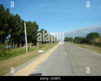 04776 Paddy Felder Salapungan Straßen Magumbali an Pampanga 02 Stockfoto