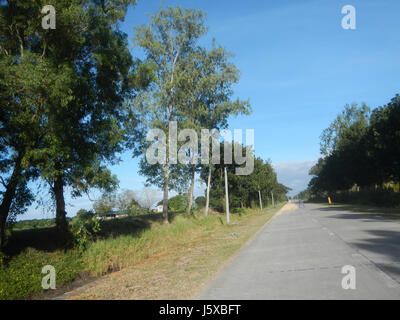 04776 Paddy Felder Salapungan Straßen Magumbali an Pampanga 14 Stockfoto