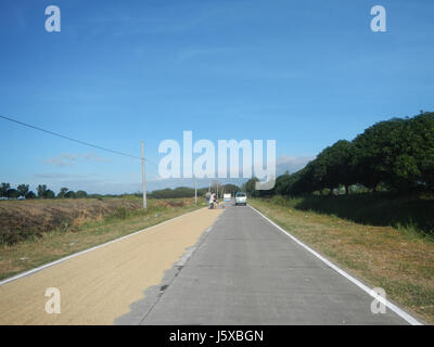04776 Paddy Felder Salapungan Straßen Magumbali an Pampanga 35 Stockfoto
