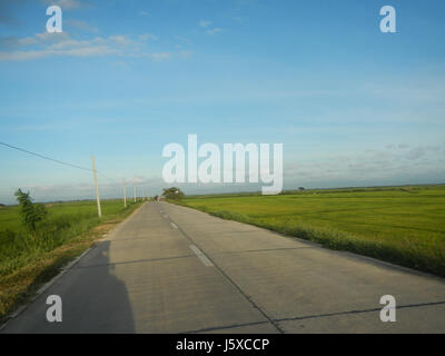 05438 Paddy Felder Salapungan Straßen Magumbali an Pampanga 07 Stockfoto