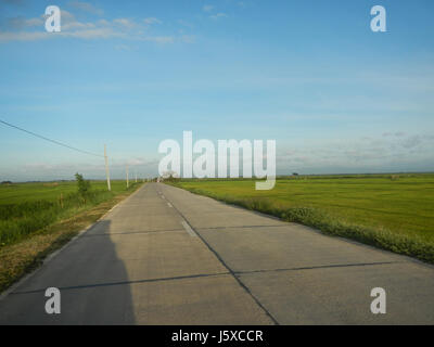 05438 Paddy Felder Salapungan Straßen Magumbali an Pampanga 08 Stockfoto