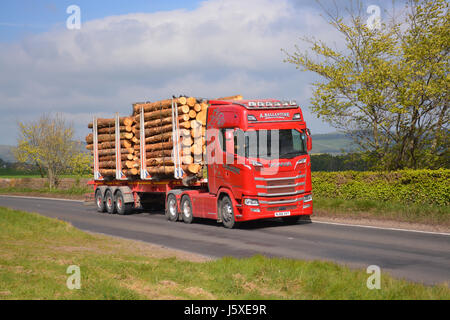 Scania S730 Stockfoto