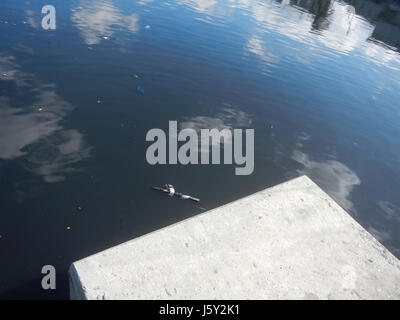 0001 Rodriguez Street Bridge Estero de Vitas Balut Tondo Manila 20 Stockfoto