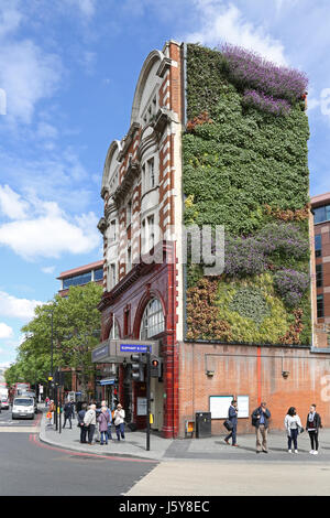 Eingang zur u-Bahnstation im Londoner Elephant and Castle. Zeigt die neue lebendige Mauer an der Seite das alte viktorianische Bahnhofsgebäude Stockfoto