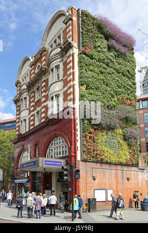 Eingang zur u-Bahnstation im Londoner Elephant and Castle. Zeigt die neue lebendige Mauer an der Seite das alte viktorianische Bahnhofsgebäude Stockfoto