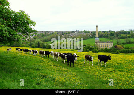 Bis die Kühe kommen Heim - Bliss Mühle, Chipping Norton Stockfoto