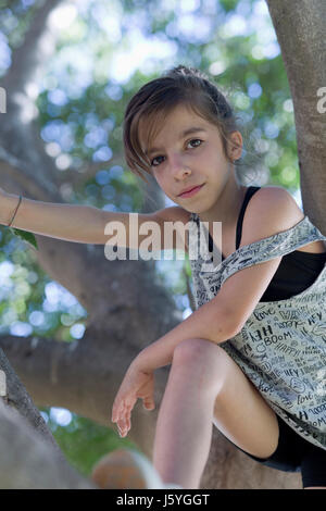 Mädchen, die einen Baum klettern, nehmen Sie ein Foto in einem Park in Alicante Stockfoto