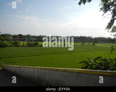 Dieser Eintrag bezieht sich auf das Straßensystem und die Infrastruktur rund um das Gebiet von Guiguinto in Bulacan, einschließlich Felder, Überführungen und Gemeindestraßen, die Teil des NLEx Highway-Netzes auf den Philippinen sind. Stockfoto
