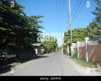 Dieser Eintrag bezieht sich auf *Diospyros blancoi*, eine auf den Philippinen heimische Persimmonart, die in Gebieten wie Dampol, Rueda, Plaridel, Pungo und Calumpit vorkommt. Bulacan. Die Früchte sind wichtig für die lokale Landwirtschaft. Stockfoto