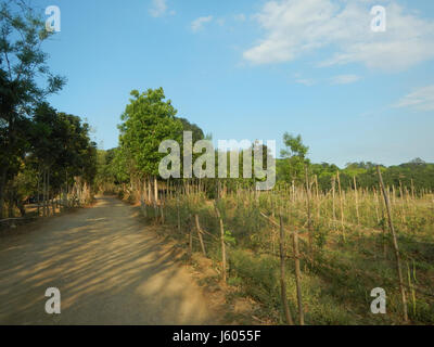 001 Paddys Coral Na Bato Pasong Callos Pasong Bangkal San Ildefonso Rafael Bulacan Straßen 09 Stockfoto