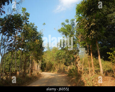 001 Paddys Coral Na Bato Pasong Callos Pasong Bangkal San Ildefonso Rafael Bulacan Straße 12 Stockfoto