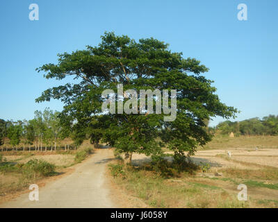 0051 Paddys Coral Na Bato Pasong Callos Pasong Bangkal San Ildefonso Rafael Bulacan Straße 46 Stockfoto