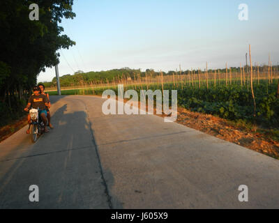 Dieser Eintrag bezieht sich auf die San Rafael Ildefonso Municipal Roads and Chapel, die sich in den Baranggays von Bulacan auf den Philippinen befindet. Die Straßen und die Kapelle spiegeln die lokale Infrastruktur und die Rolle religiöser und gemeinschaftlicher Räume in der Gegend wider. Stockfoto
