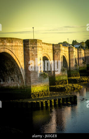 Berwick Brücke, auch bekannt als die alte Brücke, überspannt den Fluss Tweed in Berwick-upon-Tweed, Northumberland, England Stockfoto