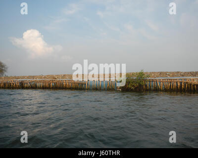 Dieser Eintrag bezieht sich auf verschiedene geografische Orte entlang der Flussufer in der Nähe von Panasahan, Malolos, San Jose und Paombong in Bulacan. Das Gebiet ist bekannt für seine Artenvielfalt, einschließlich lokaler Vogelarten. Stockfoto
