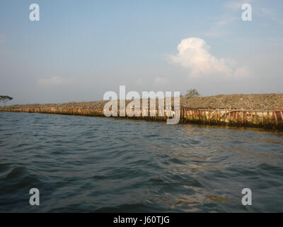 03735 Fluss Banken Panasahan Malolos Stadt Bulacan 06 Stockfoto