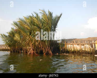 03735 Fluss Banken Panasahan Malolos City Bulacan 20 Stockfoto