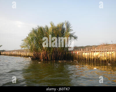 03735 Fluss Banken Panasahan Malolos City Bulacan 24 Stockfoto