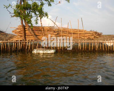 03735 Fluss Banken Panasahan Malolos Stadt Bulacan 37 Stockfoto