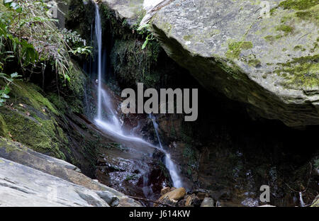 Wasserfall Picton Neuseeland üppigen Regenwald Stockfoto