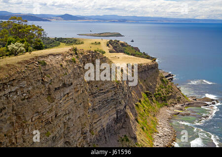 Das Fossil Cliffs auf Maria Island Stockfoto