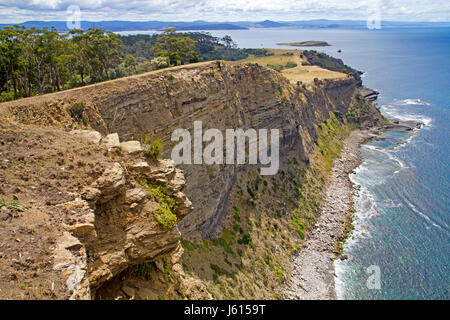 Das Fossil Cliffs auf Maria Island Stockfoto