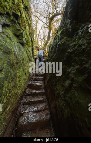 Die Kanzel der Teufelsschlucht in Finnich Glen, Killearn, Stirlingshire, Schottland - Abschnitt von der steile, rutschigen Steintreppen führen hinunter in die Schlucht Stockfoto