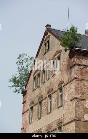 altes Haus Bedachung mit Dach Birke Stockfoto