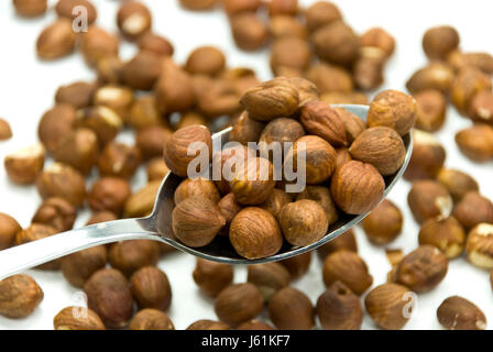 Löffel Haselnüsse in befreit Stockfoto