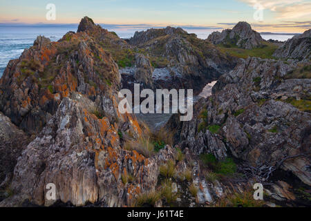 Sarah-Anne Felsen - Tarkine - Tasmanien - Australien Stockfoto