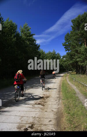 Ferien Urlaub Ferien Urlaub Erholung Radfahrer Wald Frau Menschen Stockfoto