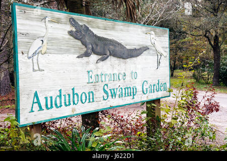 Charleston South Carolina, Lowcountry, Ashley River Road, Magnolia Plantation & Gardens, 1676, Ökologie, Audubon Swamp Garden, Schwarzwasser-Zypresse & tupelo sw Stockfoto