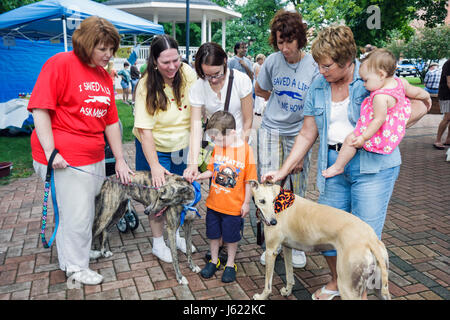 Indiana Chesterton, Thomas Centennial Park, Bark im Park, Hunde, Windhund-Annahme, Haustiere, Tier, Leine, Erwachsene Erwachsene Frau Frauen weibliche Dame, Junge Stockfoto