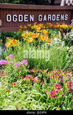 Indiana Valparaiso Ogden Garten Botanische Gartenbau Einheimische