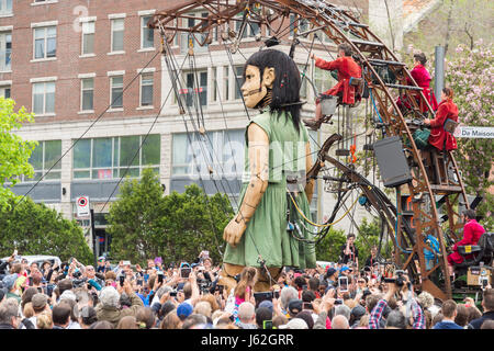 Montreal, Kanada. 19. Mai 2017. Royal de Luxe Riesen im Rahmen der Gedenkfeiern zum 375-jährigen Jubiläum der Montreal Credit: Marc Bruxelle/Alamy Live News Stockfoto