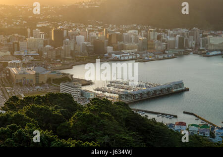 Wellington, New Zealand - April 14,2016: Sonnenuntergang von Mount Victoria in Neuseeland Stockfoto