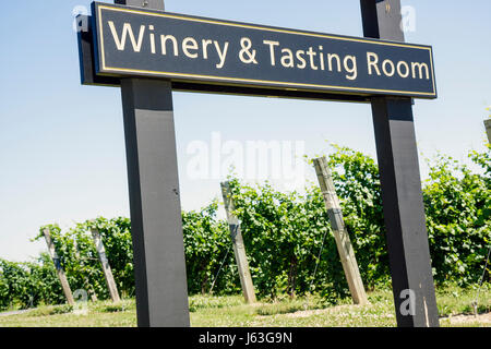 Michigan Berrien Springs, Domaine Berrien Cellars, Weingut, Trauben, Bauernhof, Weingut in Flaschen, Weinbau, Pflanzen, Schild, Verkostungsraum, Weinreben, MI08071401 Stockfoto