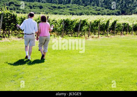 Michigan Coloma, Karma Vista Vineyards & Winery, Weintrauben, Bauernhof, Wein in Flaschen, Weinbau, Männer, Männer, Frauen, Frauen, Paare, Pflanzen, spazieren, romantisch Stockfoto