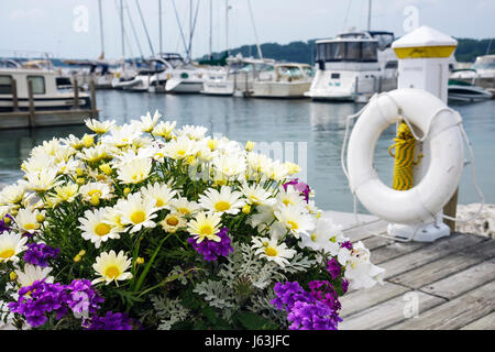 Michigan Traverse City, Old Mission Peninsula, West Arm Grand Traverse Bay, Bowers Harbour Marina, Pflanzer, Gänseblümchen, Geranien, Flotationsgerät, PFD, lebensrette Stockfoto