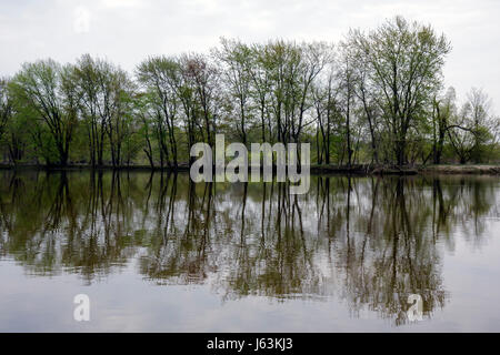 Michigan, MI, mich, Upper Midwest, Saginaw County, Saginaw, Johnny Panther Quest, Saginaw River Water, Cass, Tittabawasse, Shiawassee National Wildlife Refuge, n Stockfoto