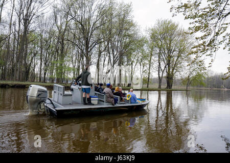 Michigan Saginaw, Johnny Panther Quest, Shiawassee National Wildlife Refuge, Erhaltung, Natur-Bootstour, Ökotourismus, Lake Linton, Saginaw River, Early sp Stockfoto