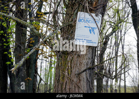 Michigan, MI, mich, Upper Midwest, Saginaw County, Saginaw, Johnny Panther Quest, Saginaw River Water, Cass, Tittabawasse, Shiawassee National Wildlife Refuge, n Stockfoto