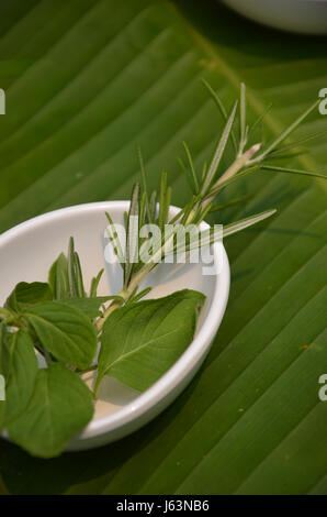 Glas Ingwer und Bael trocken im Spa. Stockfoto