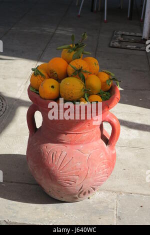Orangen haben viel Vitamin C, empfehlenswert Additiv bei Ernährung jeden Tag. Viele orange Bäume auf der Insel Sizilien in Italien. rotes Fleisch Stockfoto